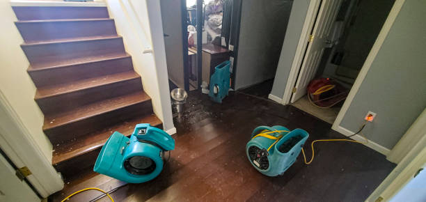 Best Fire Damage Restoration  in Milford, IN