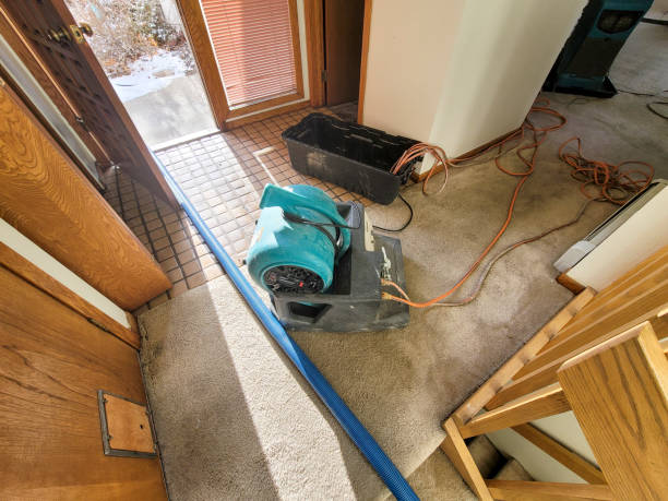 Best Commercial water damage restoration  in Milford, IN