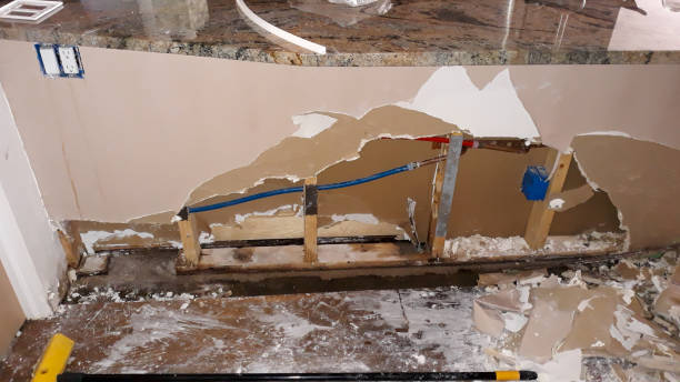 Best Basement water damage restoration  in Milford, IN