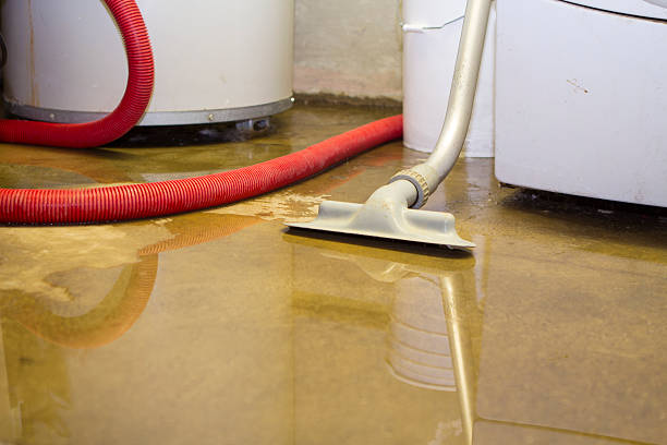 Best Mold removal after water damage  in Milford, IN