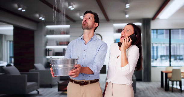 Best Water damage contractors near me  in Milford, IN