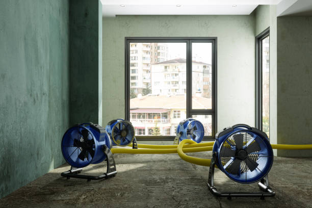Best Water damage restoration near me  in Milford, IN